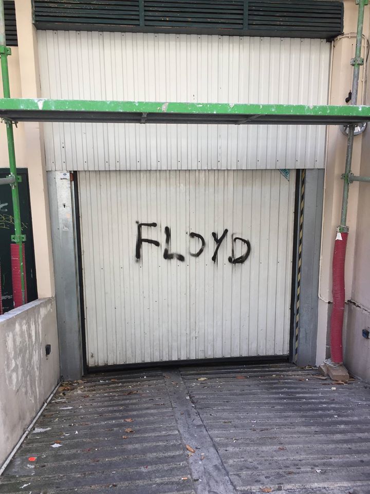 20116866_376714966080878_3425323661174010917_o